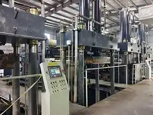 Municipal sludge dewatering project (Wangneng Eco)