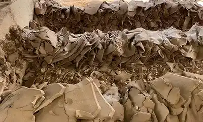 Sludge Dewatering