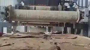 Fruit Pulp Dewatering