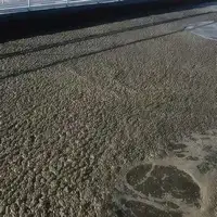 Sludge