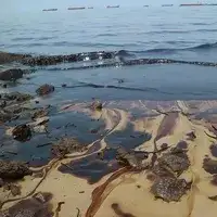 Oily sludge