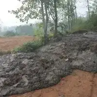 Animal manure