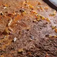 Kitchen waste