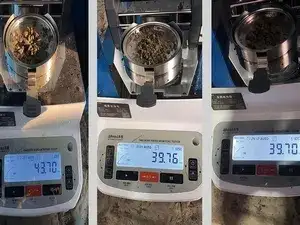 After Electrochemical Dewatering
