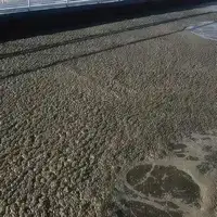 Sludge