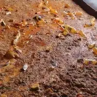 Kitchen waste